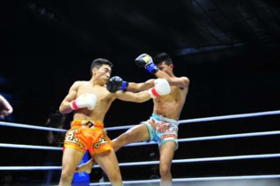 ff聯賽首站圓滿落幕，鐵血少俠tkok 1勇奪桂冠